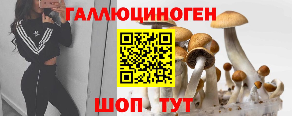 Урюпинск  Галлюциногенные грибы мухоморы  Вход с VPN 